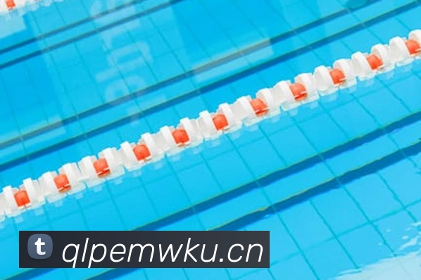 乐鱼网页版登陆入口发展历程